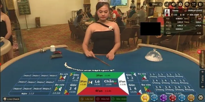 Những loại cược Fantan phổ biến